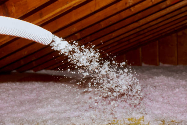 Best Geographic-Specific Insulation Services in Tropical Park, FL