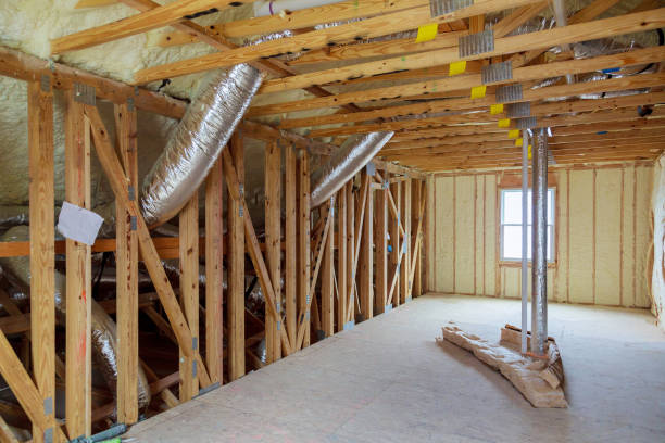Types of Insulation We Offer in Tropical Park, FL