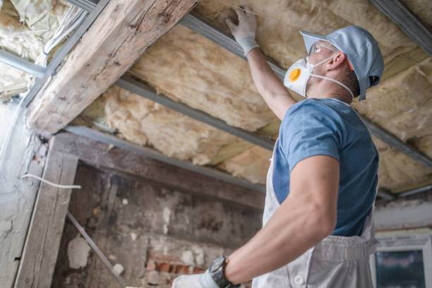 Best Cellulose Insulation in Tropical Park, FL
