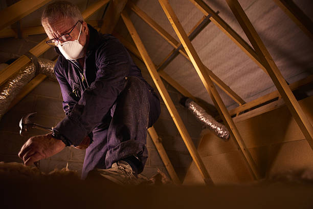 Best Spray Foam Insulation in Tropical Park, FL