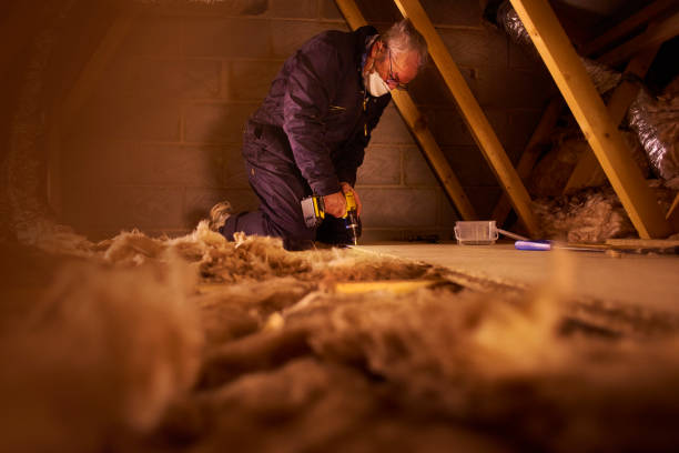 Best Residential Insulation in Tropical Park, FL
