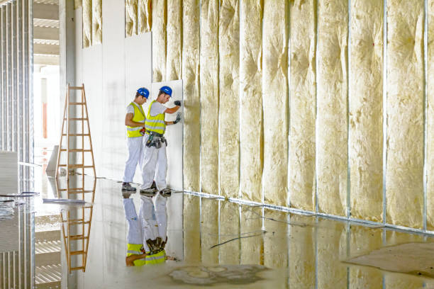 Best Energy Efficiency Insulation in Tropical Park, FL
